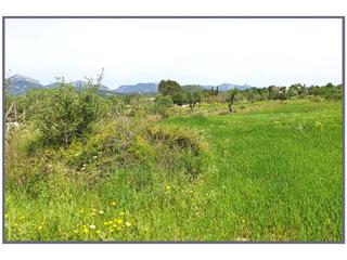 Finca rústica a 12 sn. Terreno en venta en biniamar