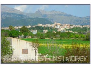 Masia a De pous sn. Finca rustica en venta en búger