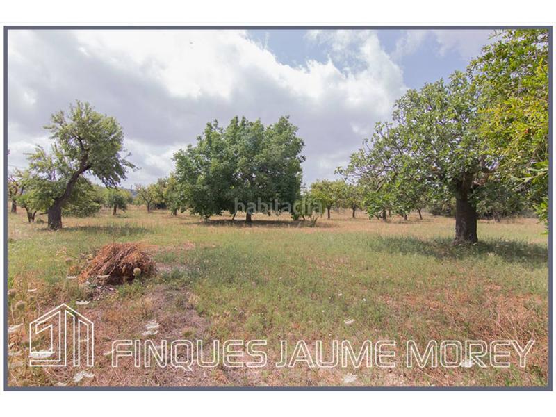 Foto 46a8ebb5-3267-478a-9068-1c1f053d04b4. Masia a diseminados sn a Selva