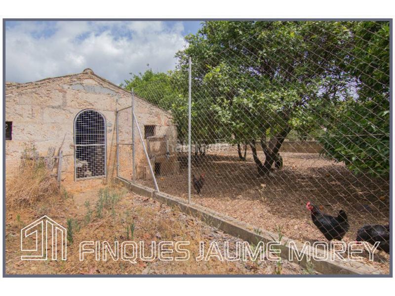 Foto 4df5aa7b-7b01-4145-89b9-b5df61da546c. Masia a diseminados sn a Selva