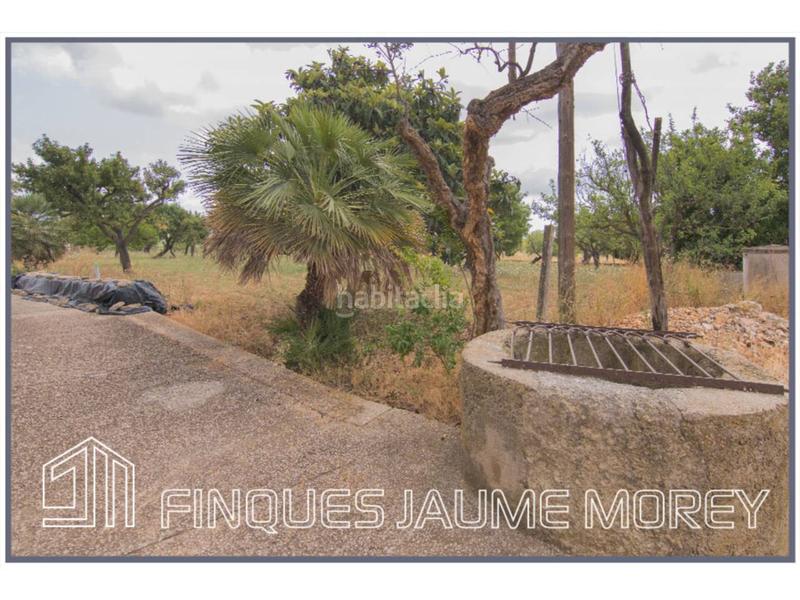 Foto 543ed003-e34b-4cc5-af2b-3cbc45eb20a9. Masia a diseminados sn a Selva