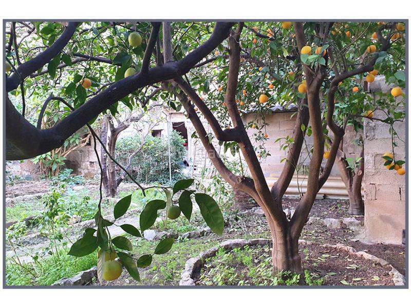 Foto 4a2da476-5455-43c6-b702-ca9d9a8e279b. Wohngrundstück in des bestiar sn in Son Amonda - Reis Catòlics Inca