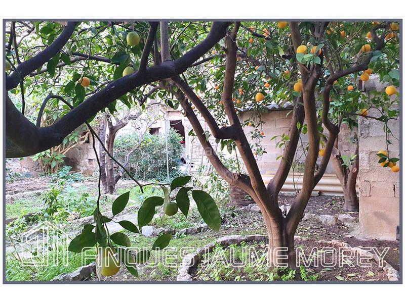 Foto 90902551-a230-477d-8dc3-d0a381a655a3. Wohngrundstück in des bestiar sn in Son Amonda - Reis Catòlics Inca