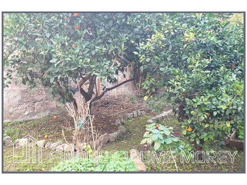 Foto e40ea0c6-88dc-4632-abba-dc5e8b77bdeb. Wohngrundstück in des bestiar sn in Son Amonda - Reis Catòlics Inca