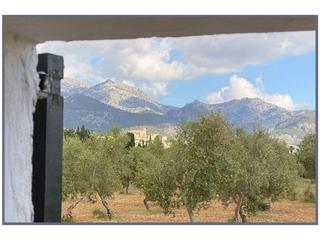 Mas à 4 sn. Casa rustica en venta en selva
