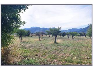 Finca rústica a 17 sn. Terreno en venta en selva