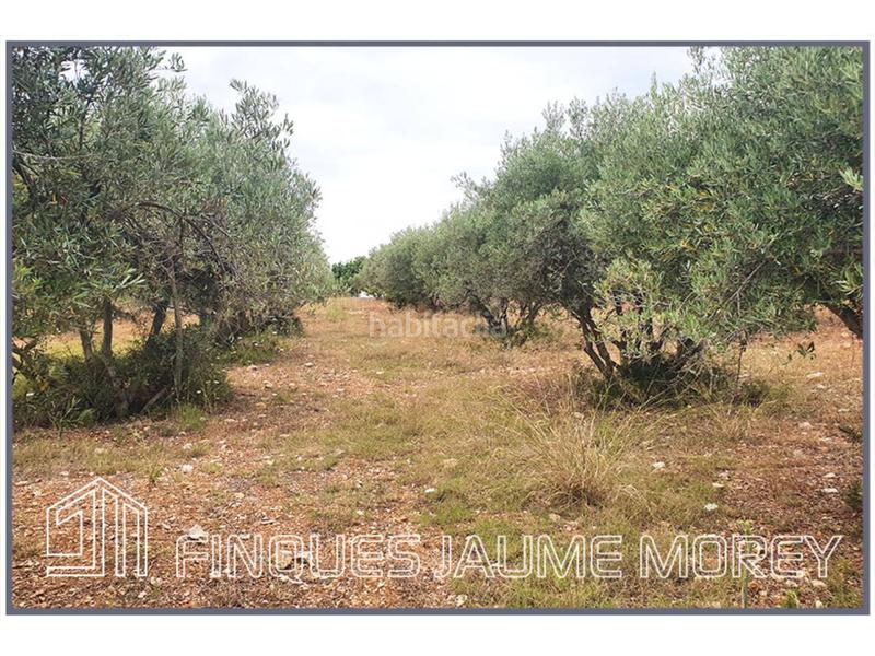 Foto 5b6ed036-947b-4ad5-8ed5-dfa9c0311b86. Propriété dans 10 s/n dans Selva