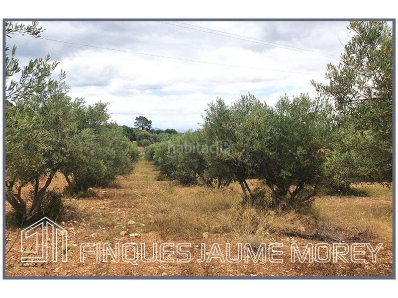 Foto 659adc5a-96b1-4607-922d-df56beca744d. Propriété dans 10 s/n dans Selva