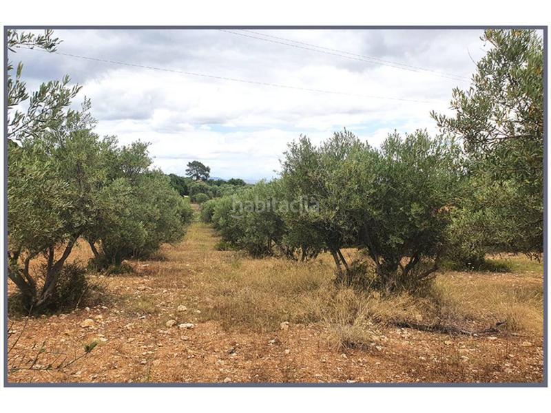 Foto 764e457f-a785-4080-b403-bc3ac4cdfba4. Propriété dans 10 s/n dans Selva