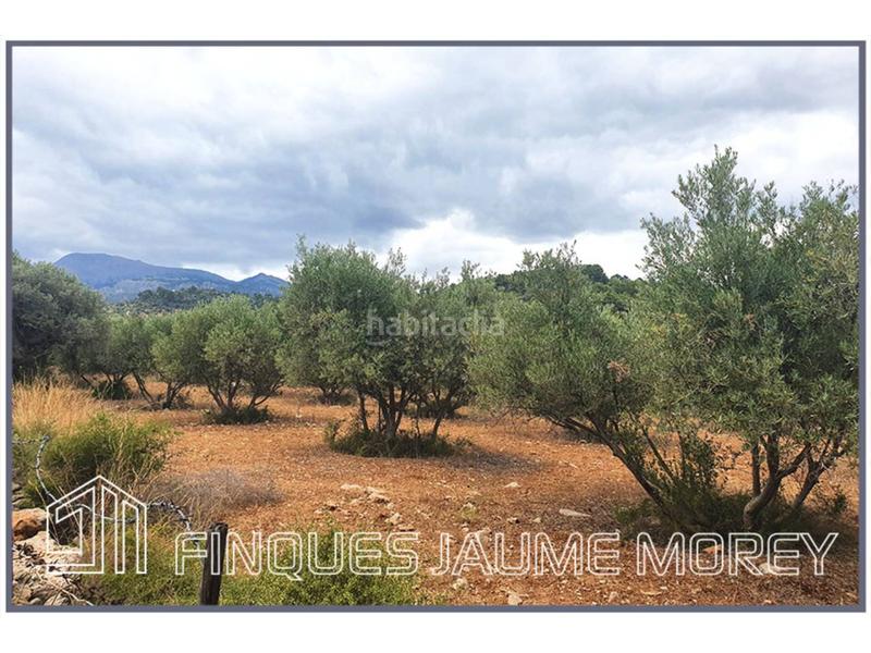 Foto c4637826-508c-4877-b1cd-34a96f573ca0. Propriété dans 10 s/n dans Selva