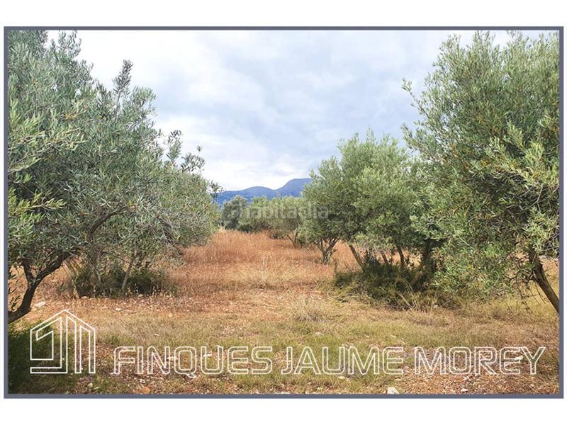 Foto db3d3561-9049-484a-a288-58af85e96328. Propriété dans 10 s/n dans Selva