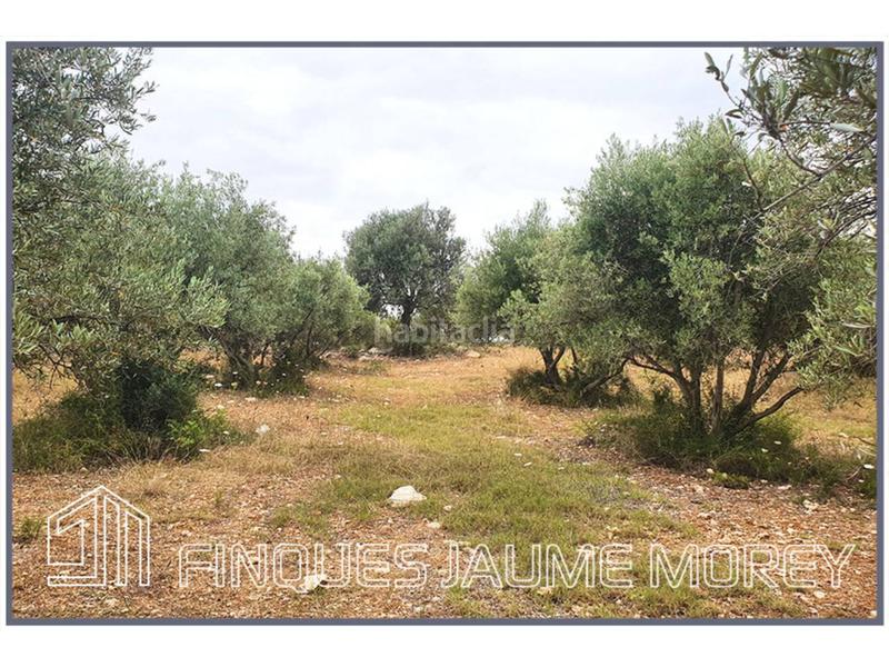 Foto fd02712d-dede-4f14-ad83-275370e6aa26. Propriété dans 10 s/n dans Selva