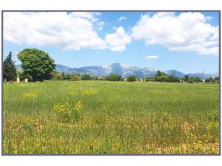 Terreny residencial a 1 sn. Terreno en venta en inca