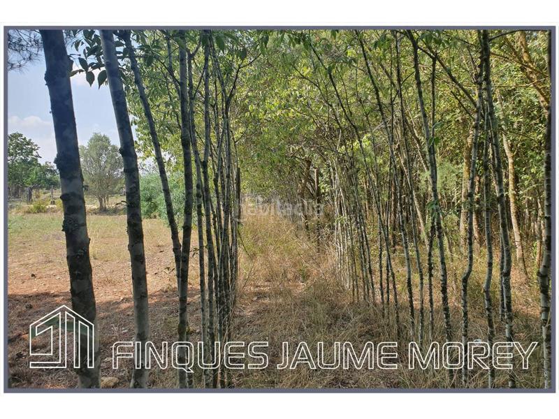 Foto 1da1f2b7-2a0a-4bc1-8dd3-5bf25b5667db. Masia a poligono 7 s/n a Selva