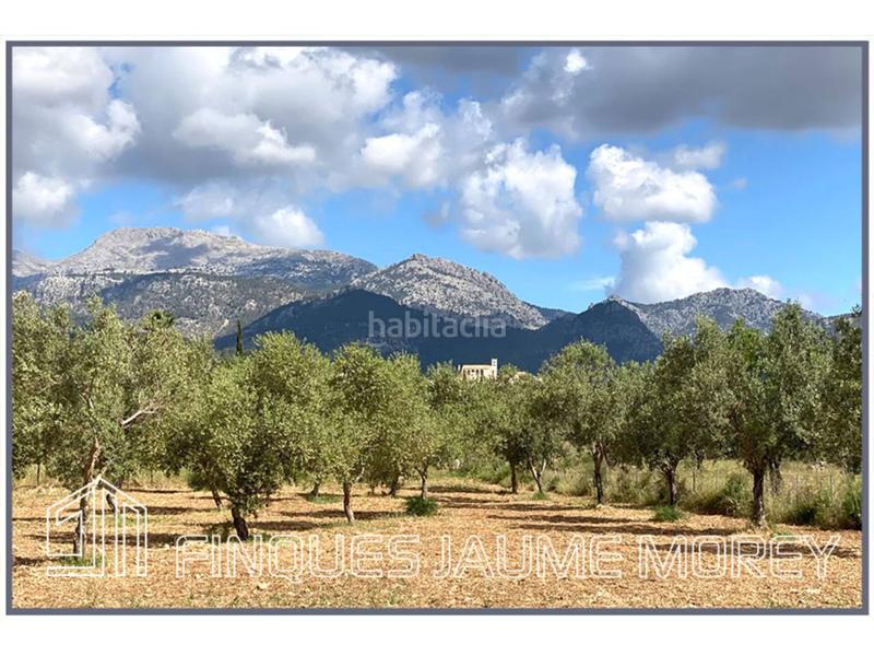 Foto 469ef3f2-9890-44d1-b871-389ea5b8b11c. Masia a 12 s/n a Selva