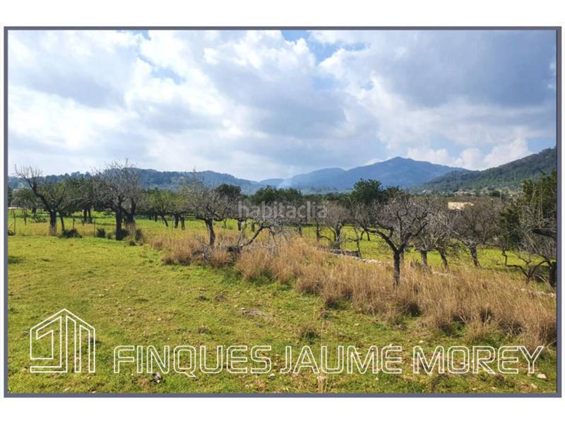 Foto 869cc977-2cb0-4741-96ab-eb5d3ce73031. Masia a 12 s/n a Selva