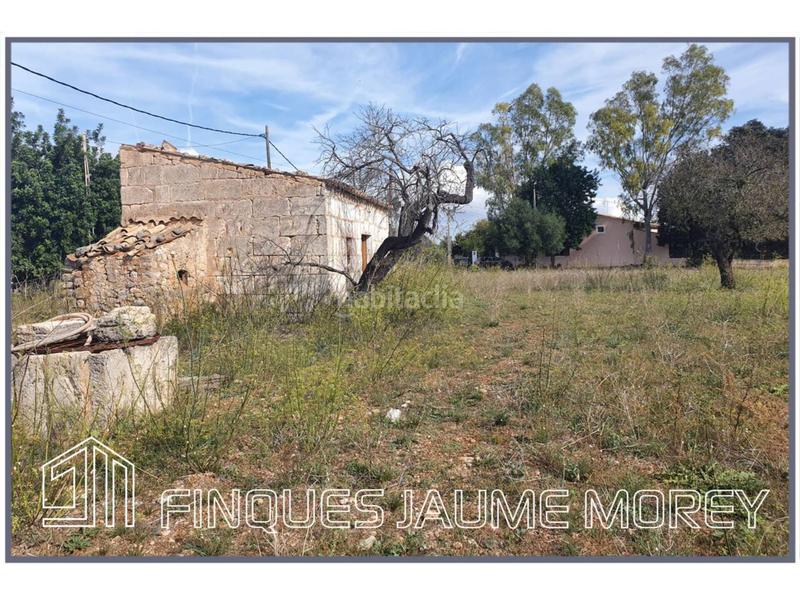 Foto c48ba55e-b75e-43b9-8b1c-8169368ffb37. Masia a 12 s/n a Selva