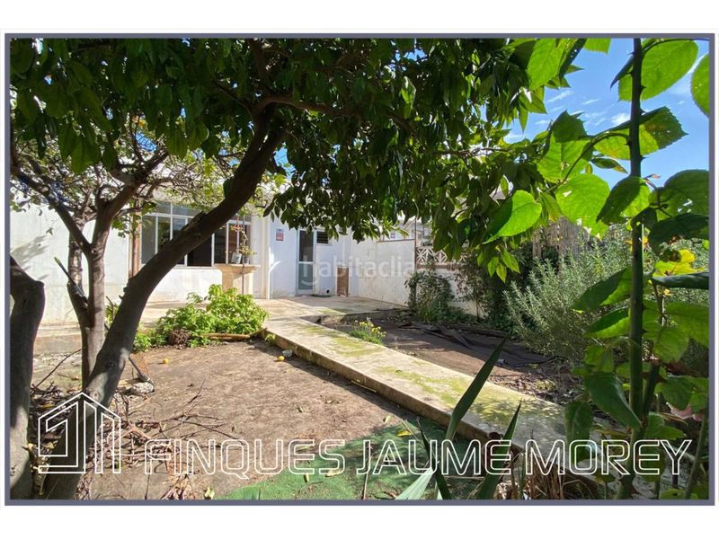 Foto e3bd4163-ef3d-4c56-ad65-21d6eaa2c547. Casa a calle costa i llobera 1 a Cristo Rey-Parque Europa Inca