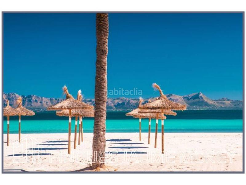 Foto 60fca39c-7fd2-4cc5-9f43-82d545c096c8. Affitto locale commerciale in platja 2 in port d´Alcúdia-platja dálcúdia Alcúdia