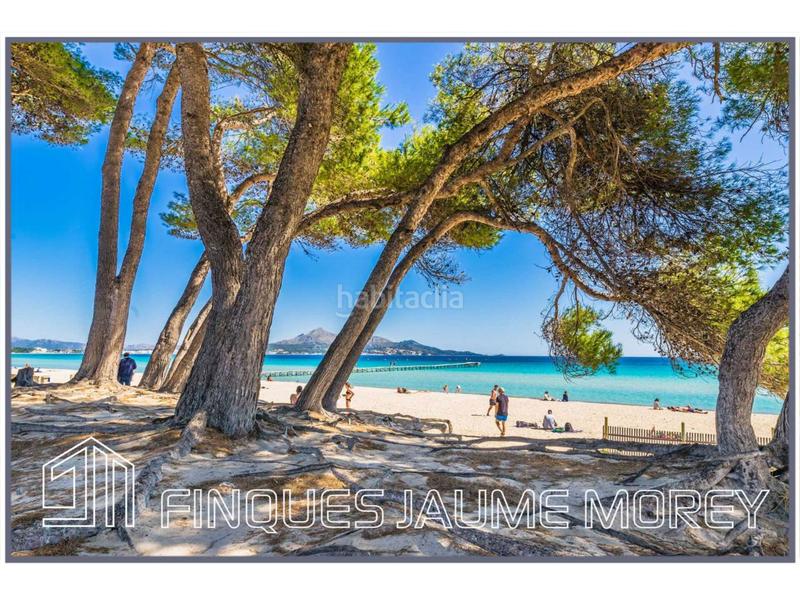 Foto 8d1ae803-a71d-445c-8b10-5c4f9d2f6c3a. Affitto locale commerciale in platja 2 in port d´Alcúdia-platja dálcúdia Alcúdia