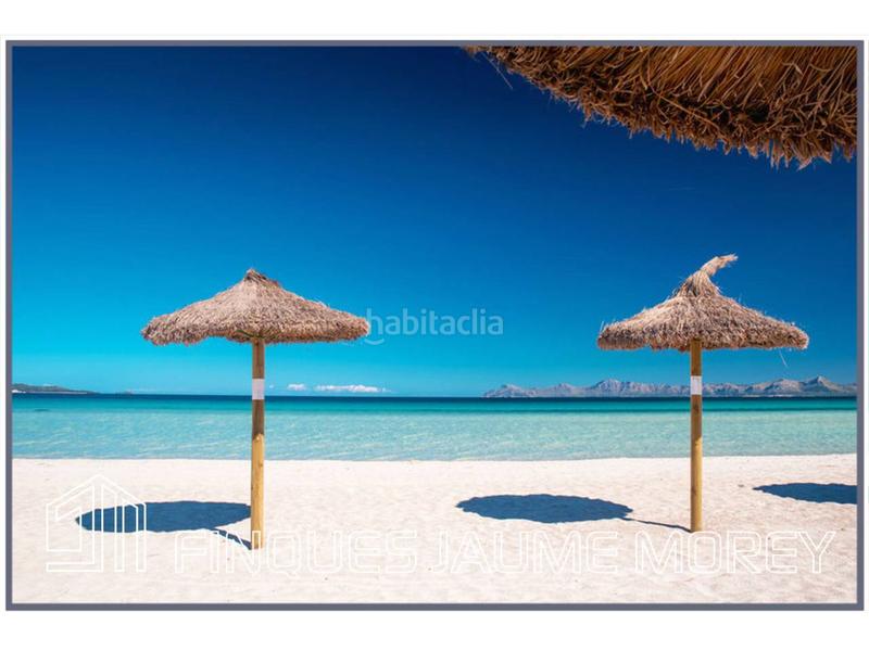 Foto 725fcfe4-d69f-4678-a5b2-abe6dff83b2a. Lloguer local comercial a platja 2 a port d´Alcúdia-platja dálcúdia Alcúdia