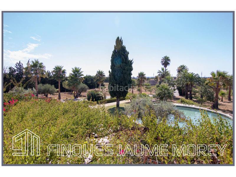 Foto 142a0b5a-9d89-4e68-be1d-d6282ce6153e. Masia a morneta sn a Binissalem