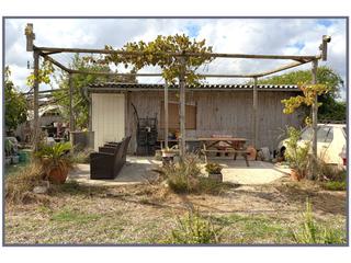 Mas  Sineu sn. Finca rústica con caseta de aperos en venta en maria de la salud