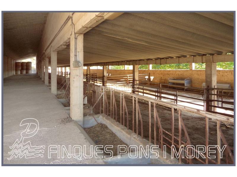 Foto d2578d4c-ef91-4819-8d0a-8aba63e3167e. Casale in llubi sn in Zona Periurbana Inca