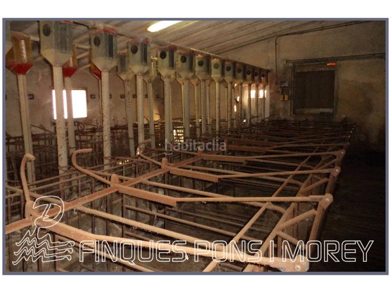 Foto f5a1e1ea-53f4-489d-81b1-c58998dcd36c. Casale in llubi sn in Zona Periurbana Inca