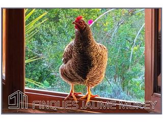Bauernhof  Calle carretera de marjals 1. Finca rústica en venta en muro