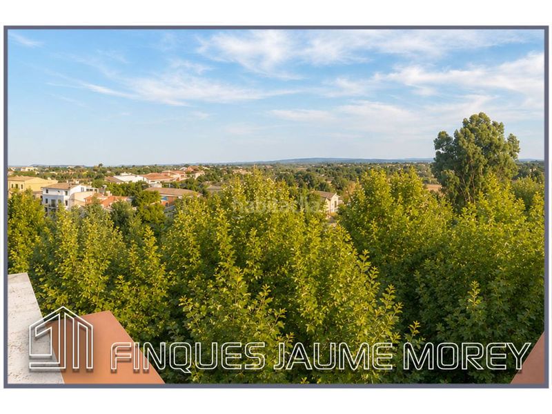 Foto 3aa71d7e-cd49-49d0-9264-87d6ca389441. Pis a plaza mallorca 1 a Lloseta