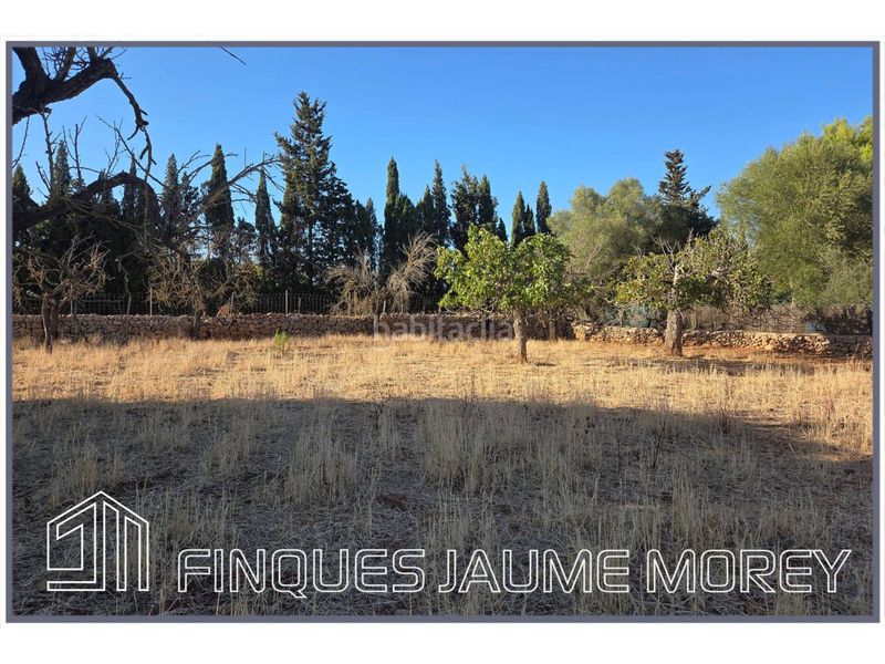 Foto 026dd102-4469-4af2-b7e0-d2ecf57c7d2c. Masia amb calefacció a Búger