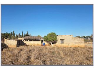 Masia  Calle cegall 1. Finca agraria en venta en búger