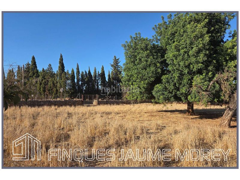 Foto d6a65fd4-1c83-423a-af20-31a9e4ae3386. Masia amb calefacció a Búger