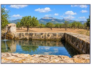 Mas�a en Camino campanet sn. Finca rustica edificable en venta en selva