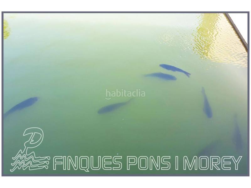 Foto 1e41dd2a-514e-473a-94ef-3e29860fff32. Finca rústica a 8 s/n a Selva