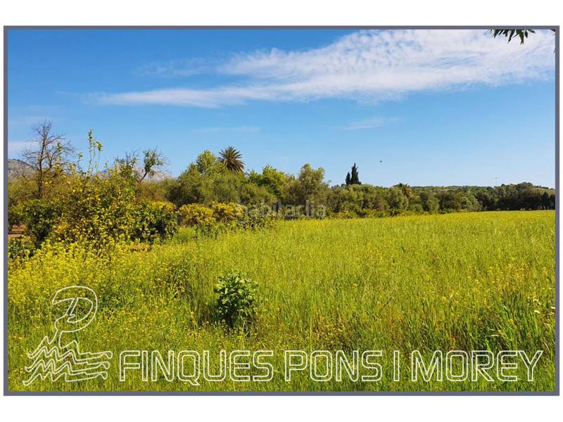 Foto 5ff09d1f-4a85-4726-a039-5c056bb77f6a. Finca rústica a 8 s/n a Selva