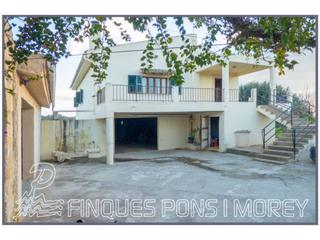 Finca rústica a 8 s/n. Finca rustica en venta en selva