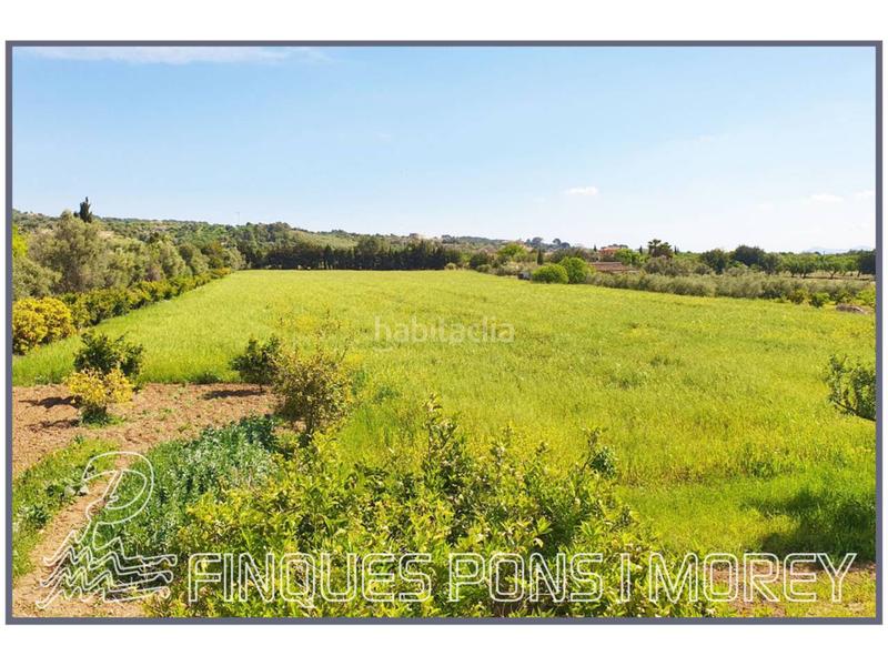 Foto ad0c1e62-cc13-4393-88ef-6cbead28f1be. Finca rústica a 8 s/n a Selva