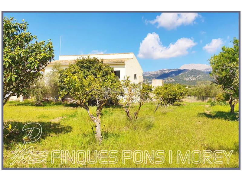 Foto ae243265-6d1f-4daf-ab60-afb307aaf5af. Finca rústica a 8 s/n a Selva