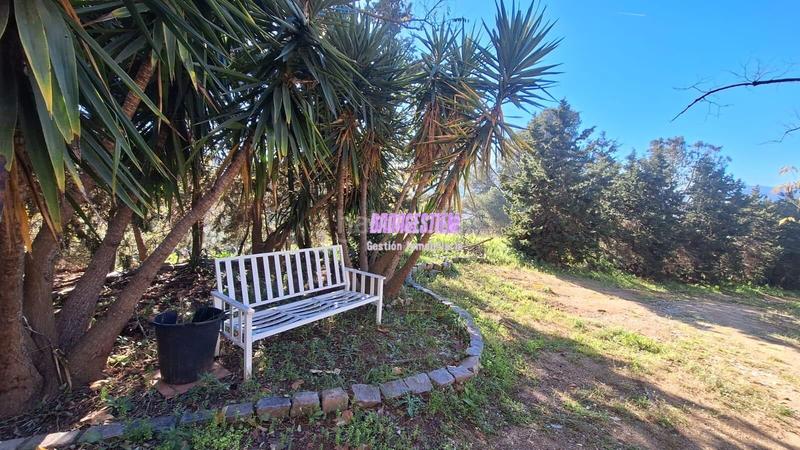 Foto 01fd7f7c-dbcb-4821-9d7e-0d8be2fefa17. Masía propiedad única en la zona en Reixac - Vallensana Baixa Montcada i Reixac