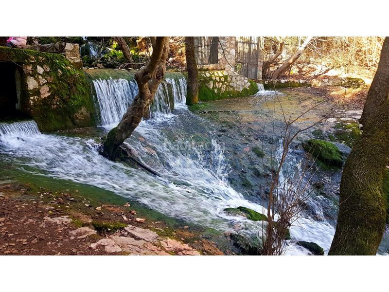 Foto 3dd2350d-803b-4a13-b9b1-0e52d5cc493c. Flat in Jimera de Líbar