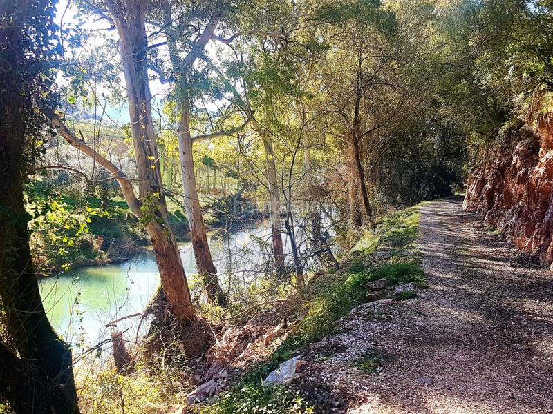 Foto 8916c9f9-770d-49d0-89cd-58c86d3476d9. Flat in Jimera de Líbar