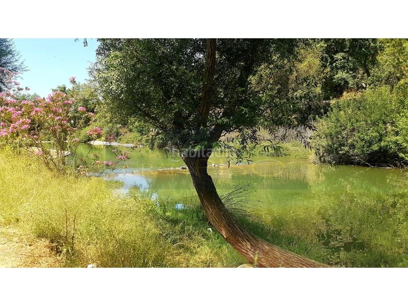 Foto e1827eb2-a705-46e8-91fd-3c7737946452. Flat in Jimera de Líbar