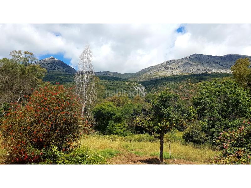 Foto ebdf1ef9-8441-4632-8127-ec944311c3f1. Flat in Jimera de Líbar