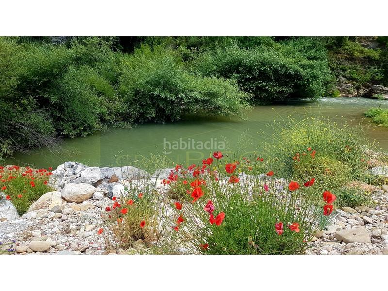 Foto f32dc04a-1714-4474-a0e0-f80920d15191. Flat in Jimera de Líbar