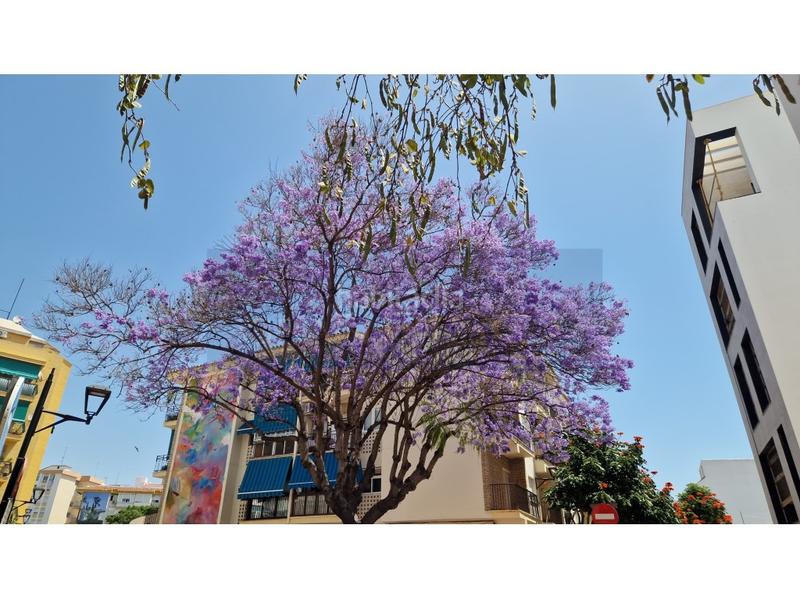 Foto f9433905-7760-469b-95f7-14c10f08c930. Pis a Zona Calvario Estepona