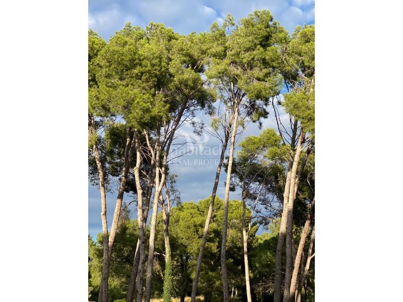 Foto f23216ba-4889-409d-88cb-07c7d3cd24fa. Casa a calle jordi llimona 17 a Covamar Salou