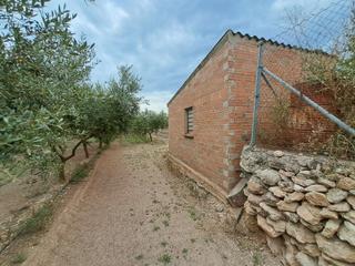Finca rústica a Móra d´Ebre. Finca rústica en les molineres