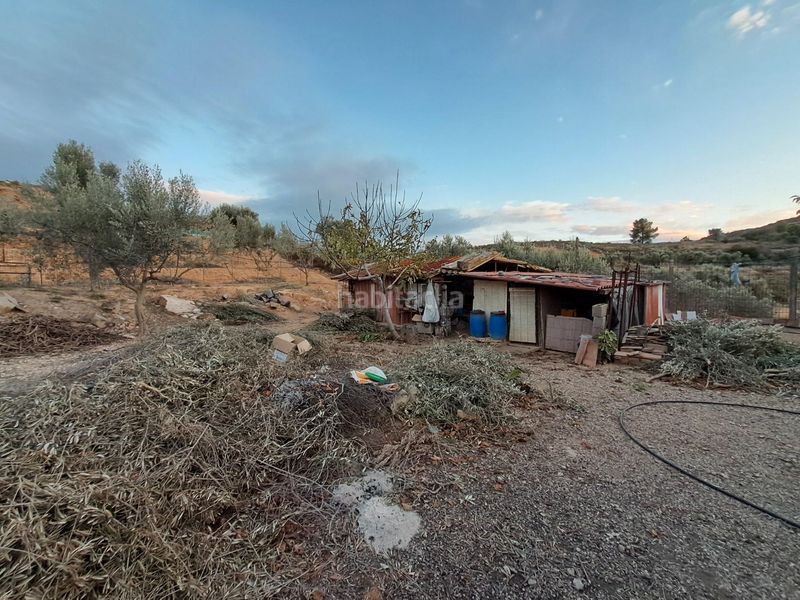 Foto 3213657d-0499-4933-8380-5e0941de0211. Finca rústica a Riba-roja d´Ebre